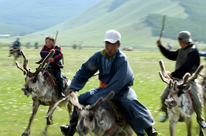 ragazzi dell'etnia Tsaatan si divertono cavalcando le renne che allevano nella taiga nella Mongolia del nord ai confini con la Siberia