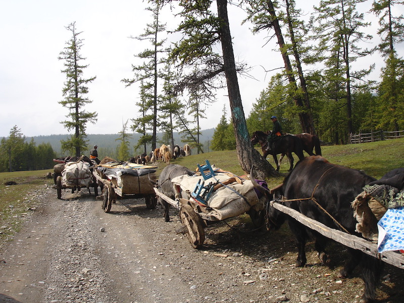 carovana pastori nomadi - lago Khovsgol - Mongolia