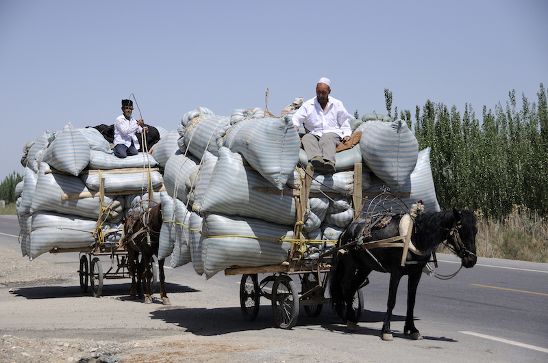 contadini portano merci su carri trainati da cavalli al mercato domenicale di Kashgar nello Xinjiang cinese
