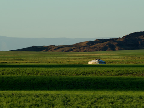 viaggio in Mongolia 13 giorni basic