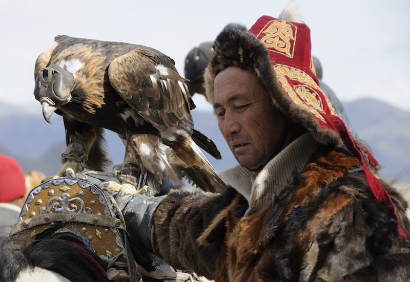 Un cavaliere in abito tradizionale da cerimonia si riposa con la sua aquila durante l'Eagle Festival di Ulgii in Mongolia