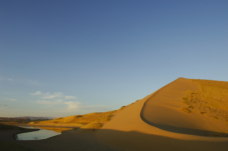Un particolare delle dune di Khongoryn nel deserto del Gobi in Mongolia