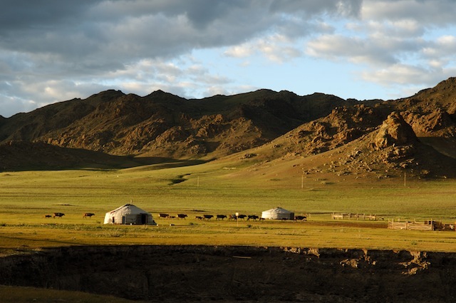 una bella immagine di steppa, ger e animali che rientrano dal pascolo al tramonto in Mongolia