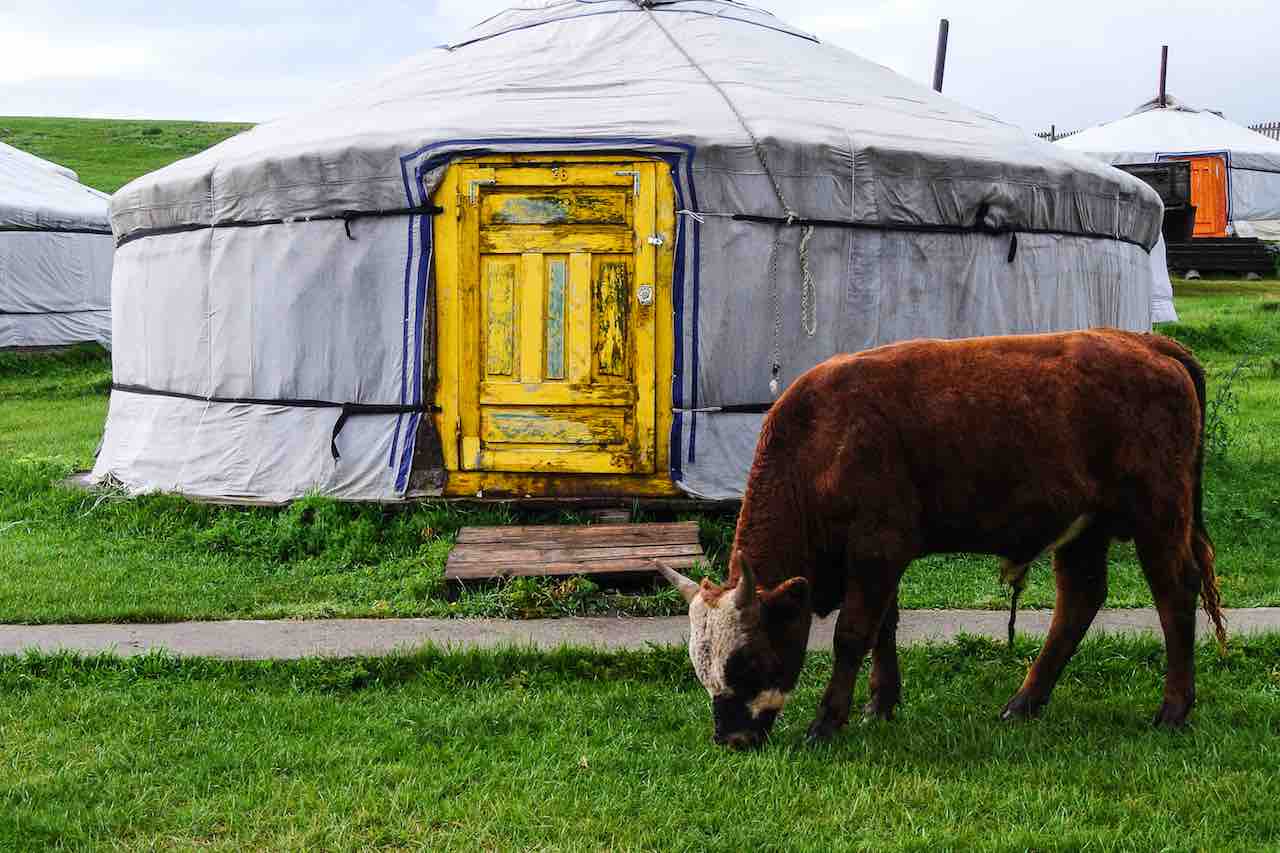 ger mongolia Tsenkher