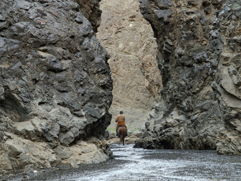 viaggi a cavallo Mongolia