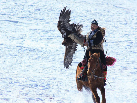 Un Eagle Hunter a caccia in inverno sui monti Altai in Mongolia